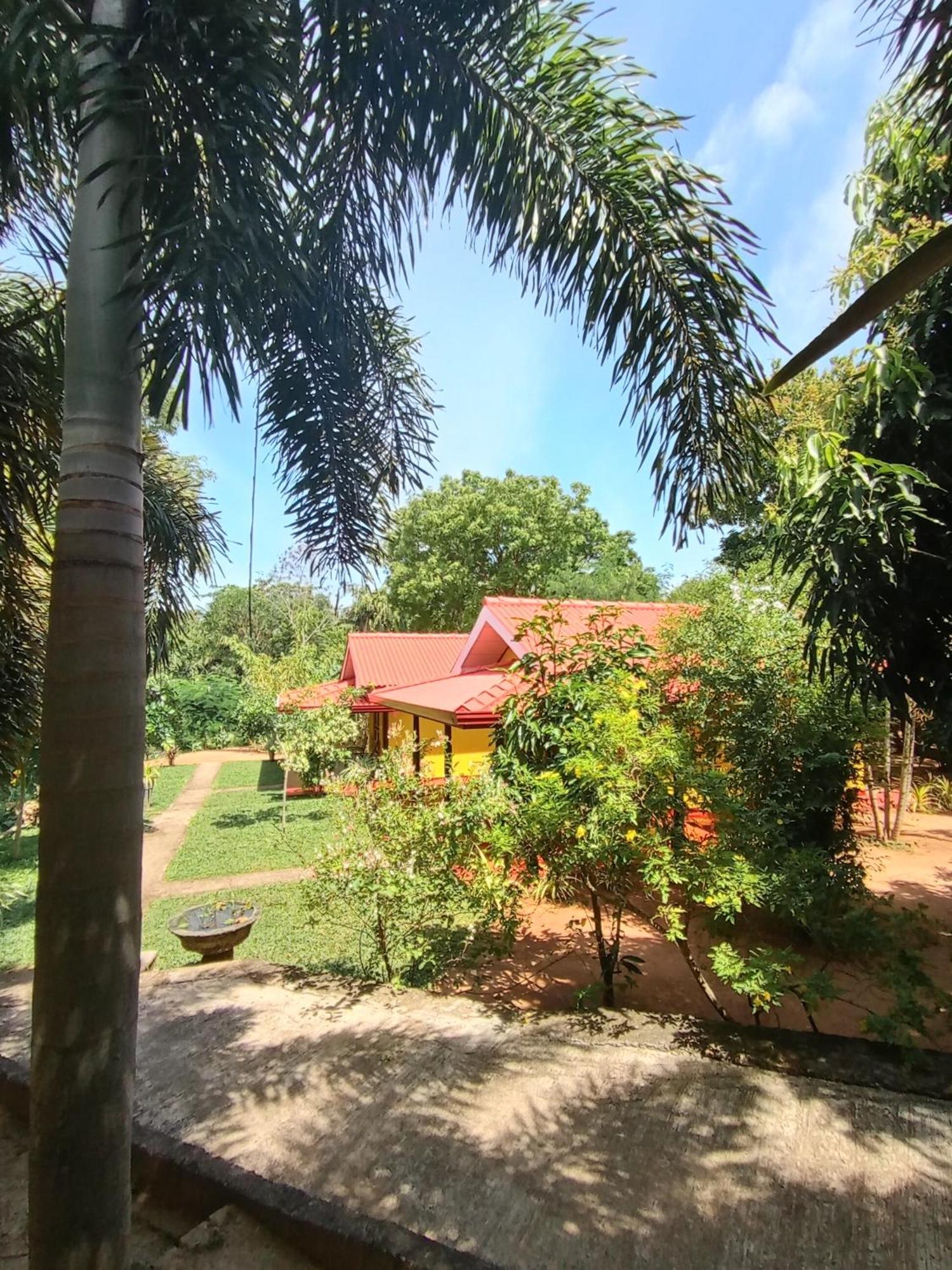 Amazon Villa *