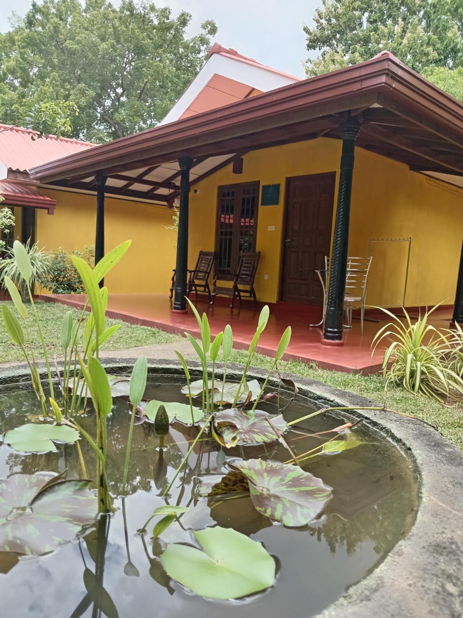 Amazon Tissamaharama