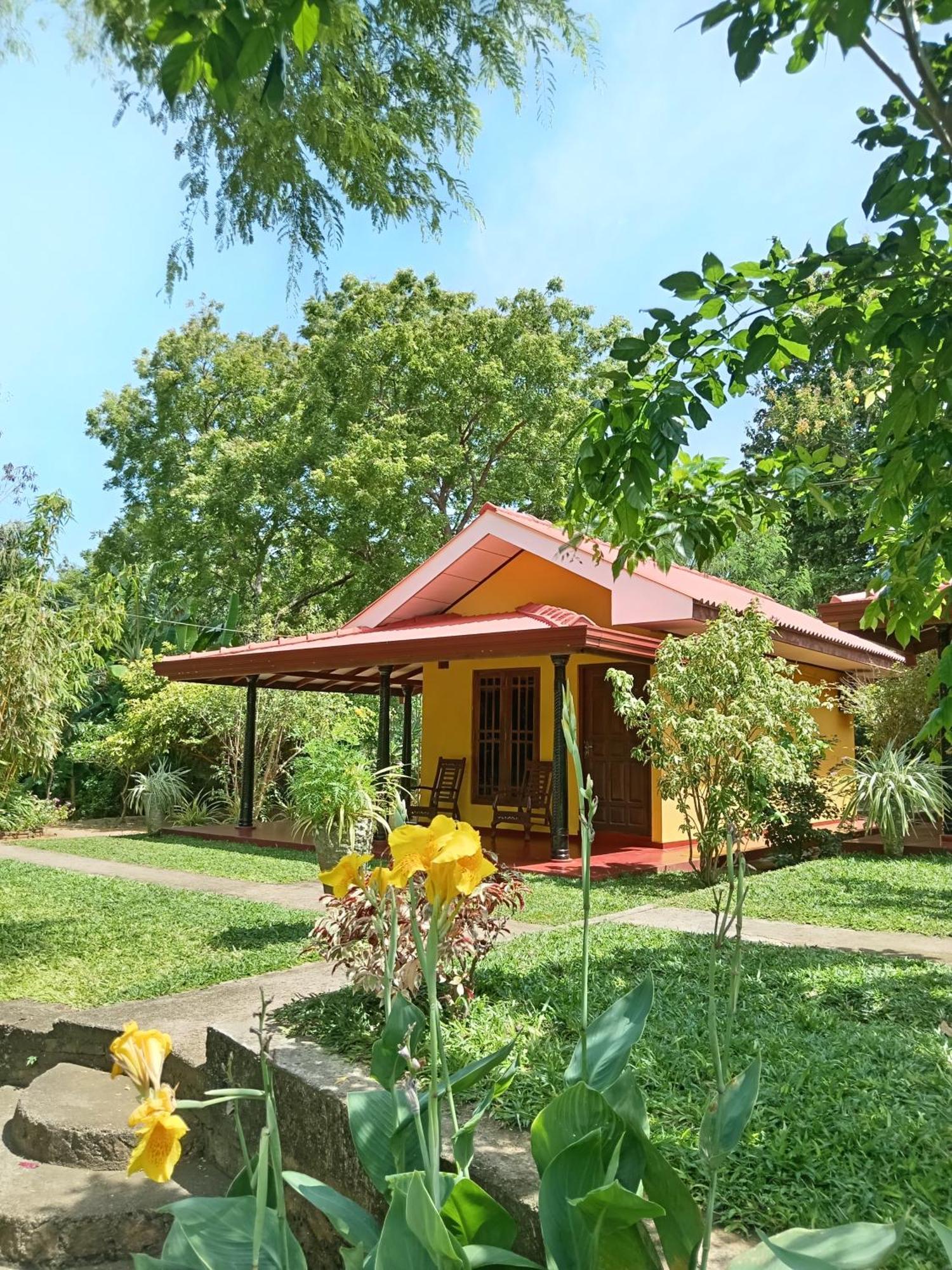 Amazon * Tissamaharama