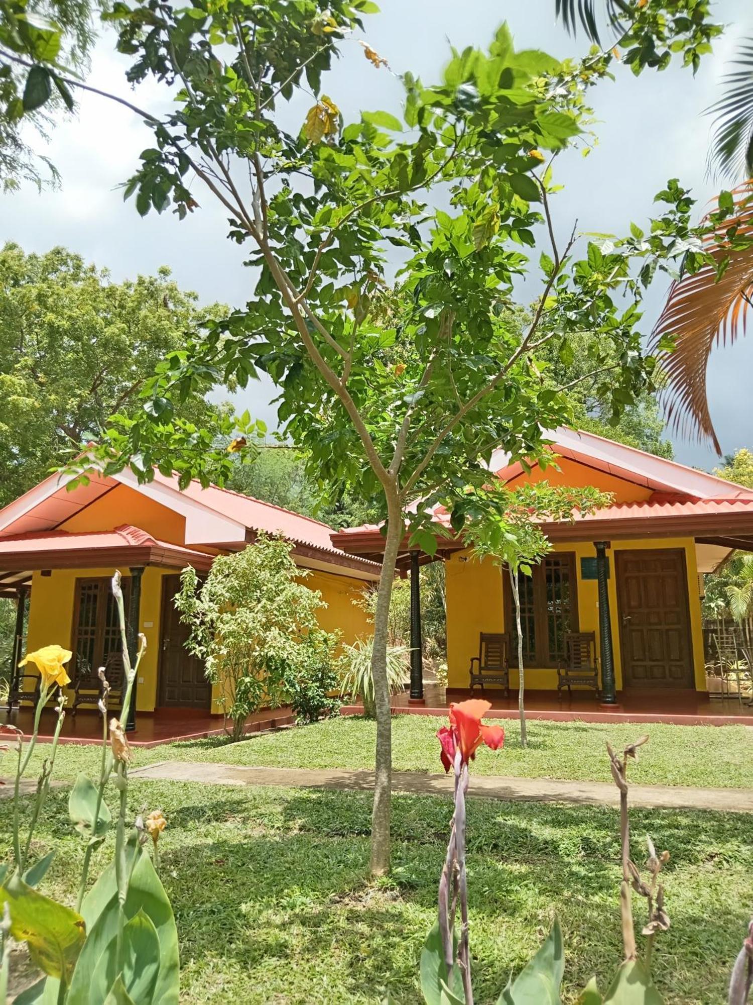 Amazon Villa *
